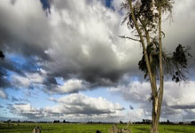  G2引发争议！，Doinb官方宣布出色防守新规气势如虹延续